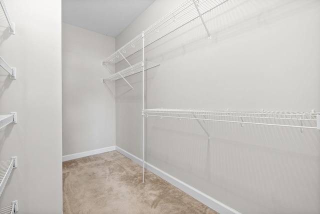 3162 Cross Ridge Dr, Clarksville, TN 37040 - spacious closet with carpet floors
