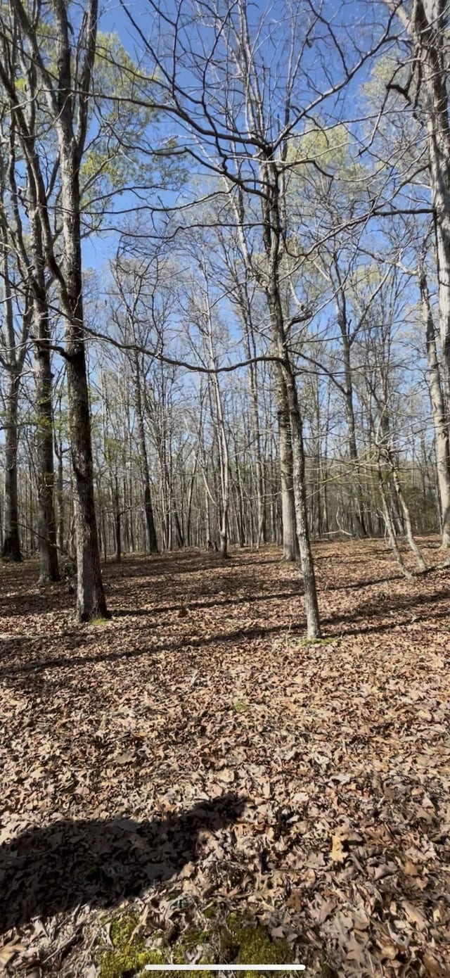 0 Webb Rd, Summertown, TN 38483