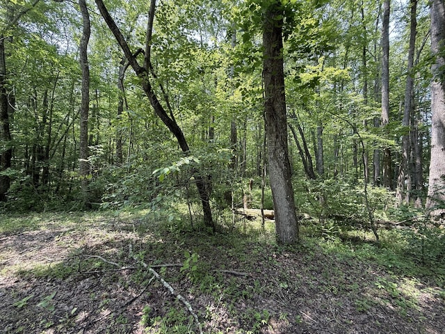 0 Webb Rd, Summertown, TN 38483