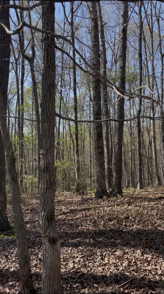 0 Webb Rd, Summertown, TN 38483