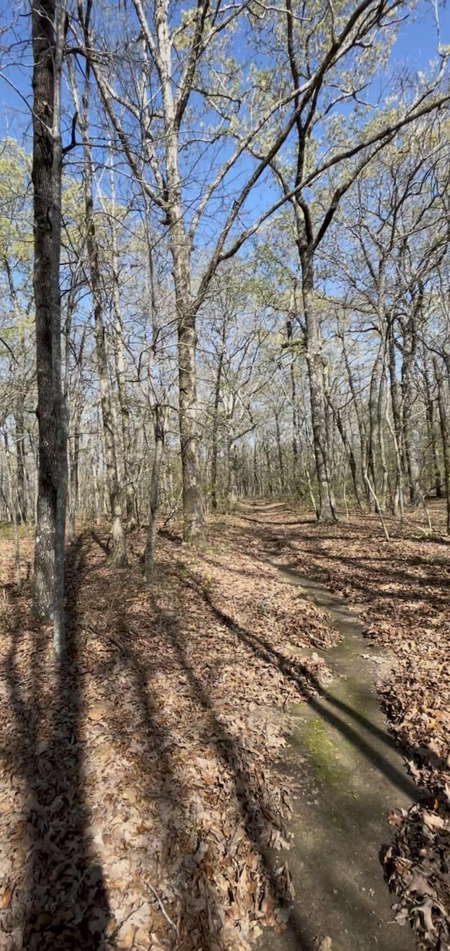 0 Webb Rd, Summertown, TN 38483