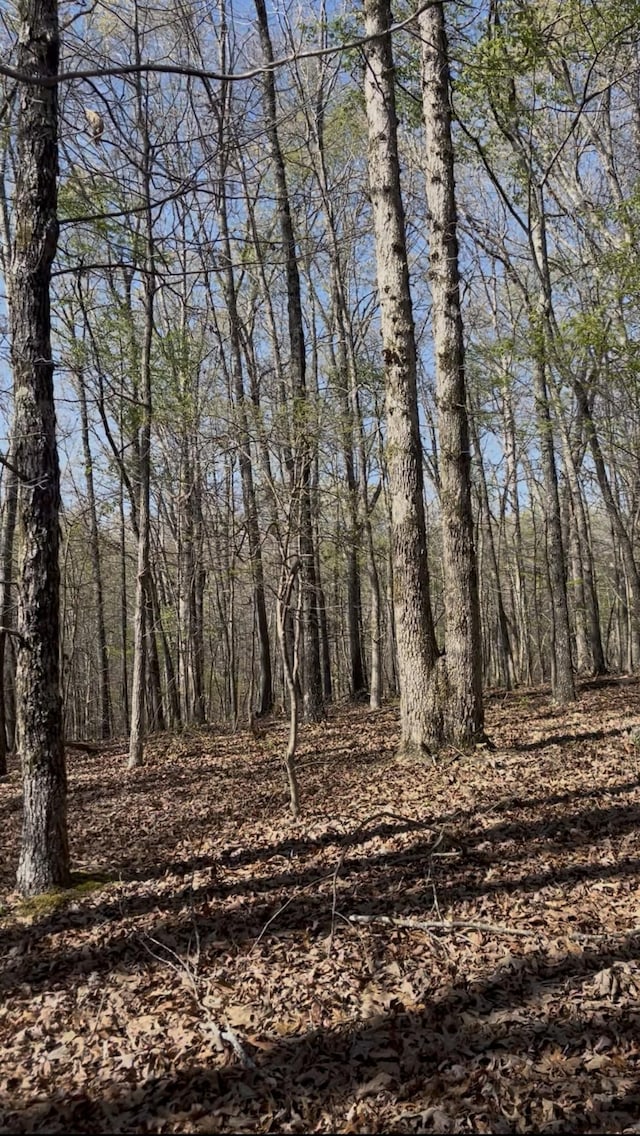 0 Webb Rd, Summertown, TN 38483