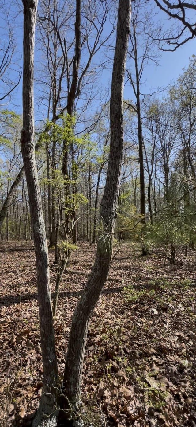 0 Webb Rd, Summertown, TN 38483