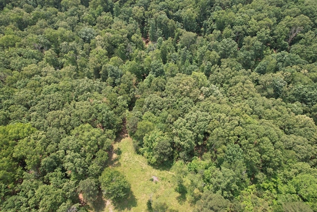 0 Webb Rd, Summertown, TN 38483