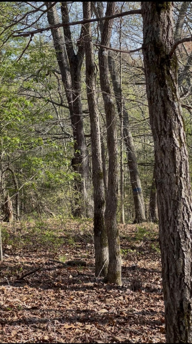 0 Webb Rd, Summertown, TN 38483