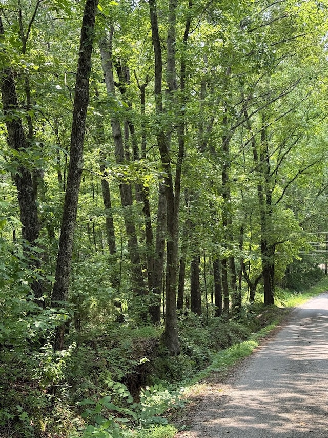 0 Webb Rd, Summertown, TN 38483