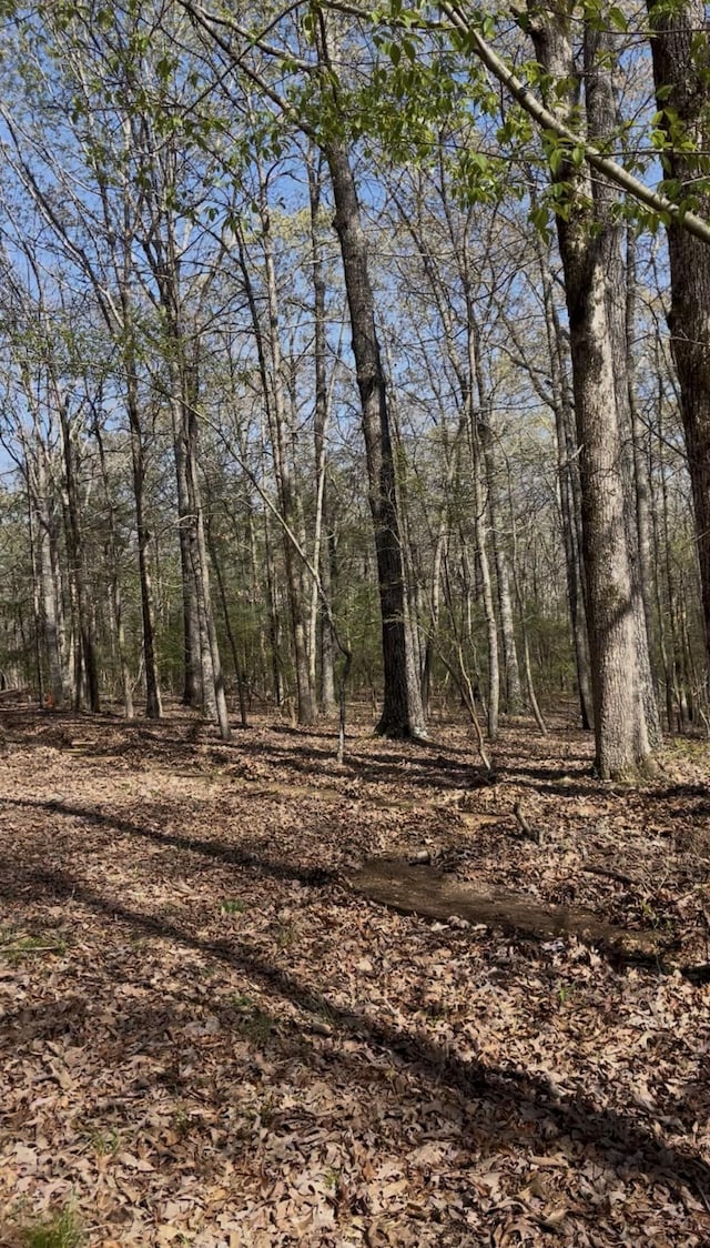 0 Webb Rd, Summertown, TN 38483