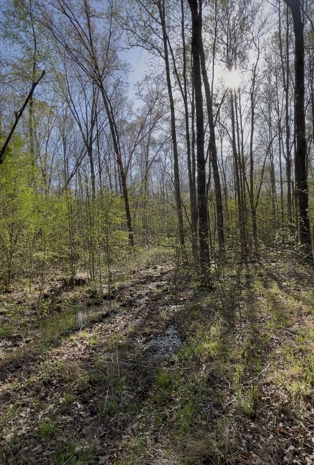 0 Webb Rd, Summertown, TN 38483