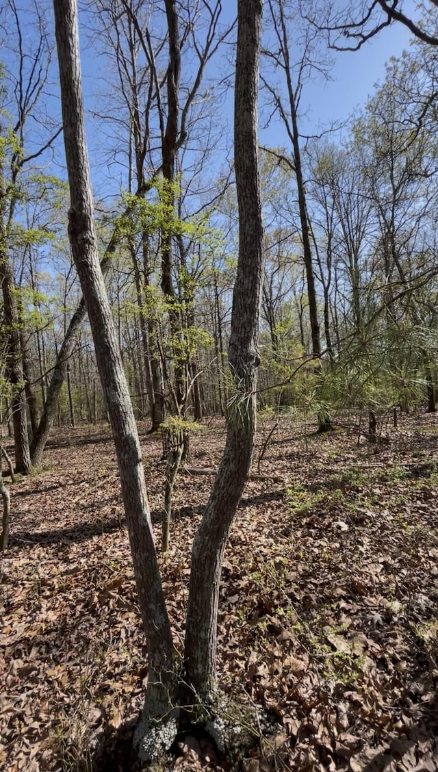 0 Webb Rd, Summertown, TN 38483