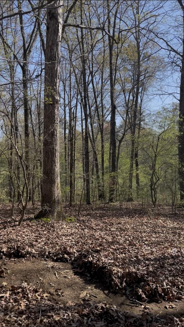 0 Webb Rd, Summertown, TN 38483