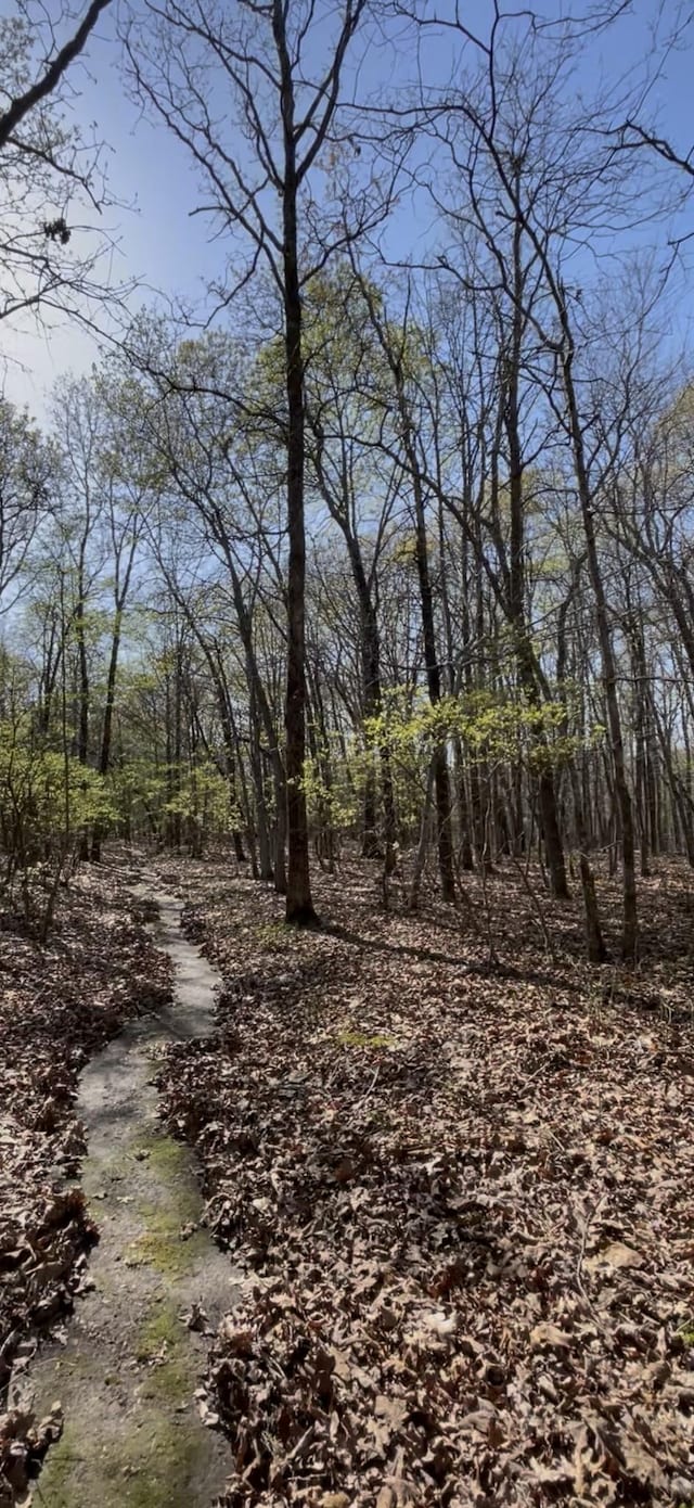 0 Webb Rd, Summertown, TN 38483