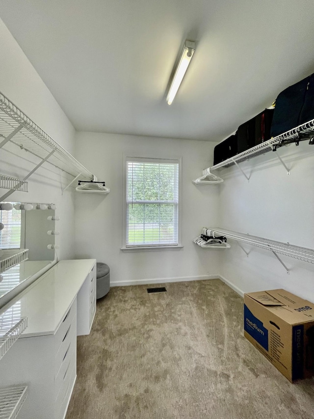 305 Davis Green Ln, Spring Hill, TN 37174 - spacious closet featuring carpet flooring