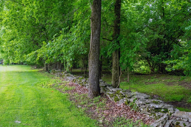 1675 Walnut Hill Rd, Lebanon, TN 37090 - photo 35