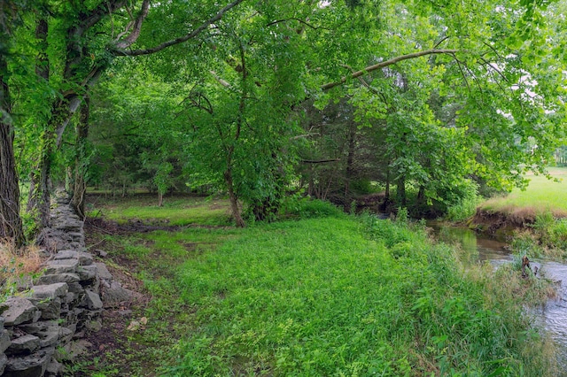 1675 Walnut Hill Rd, Lebanon, TN 37090 - photo 36
