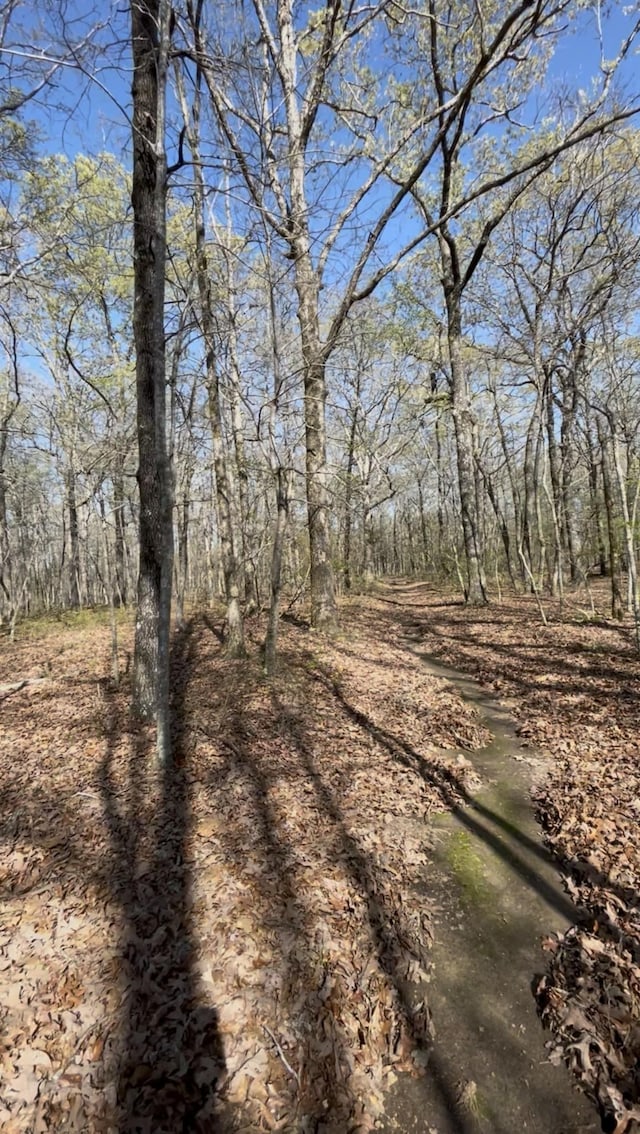 0 Drakes Ln, Summertown, TN 38483
