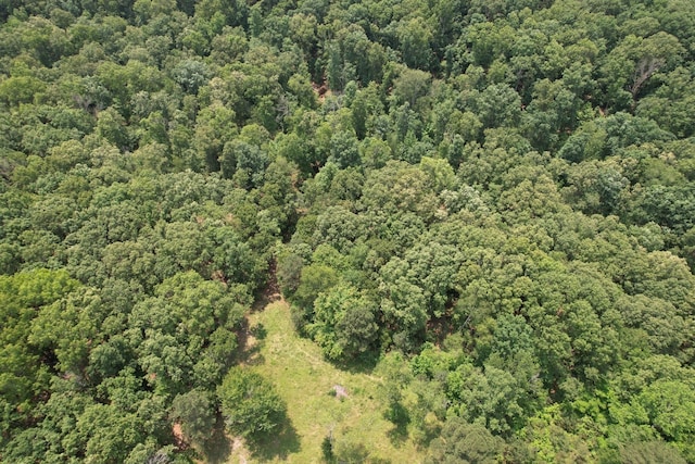 0 Drakes Ln, Summertown, TN 38483