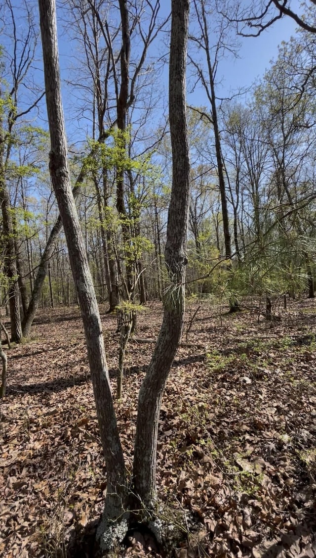 0 Drakes Ln, Summertown, TN 38483