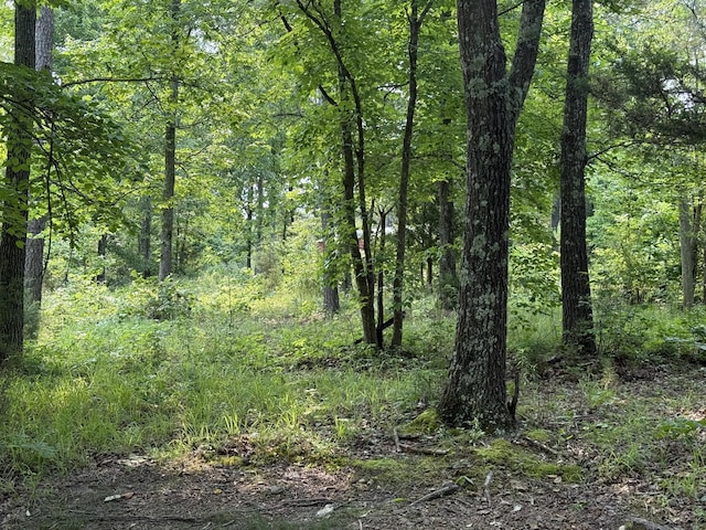 0 Drakes Ln, Summertown, TN 38483