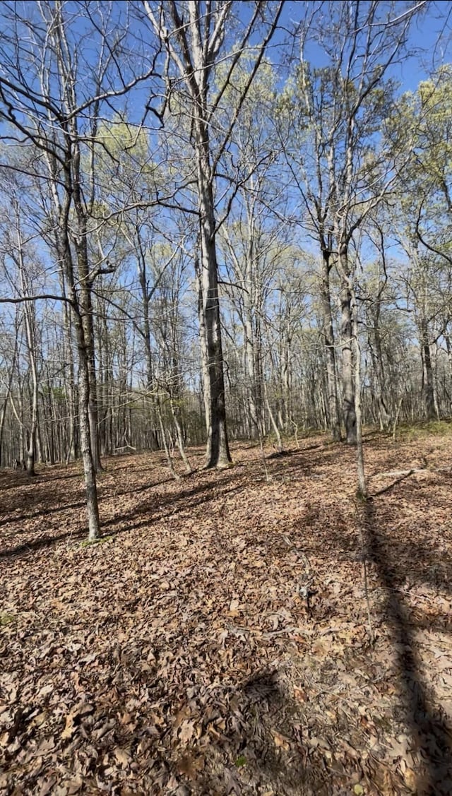 0 Drakes Ln, Summertown, TN 38483