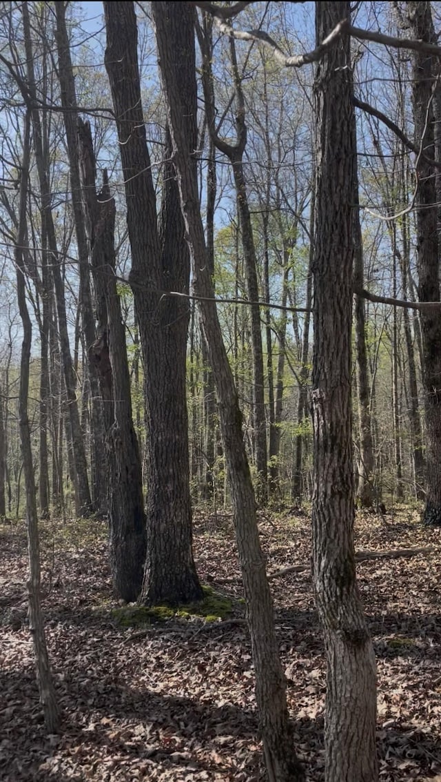 0 Drakes Ln, Summertown, TN 38483