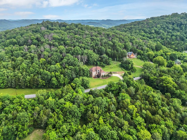 179 Lake Hollow Rd, Woodbury, TN 37190 - photo 71