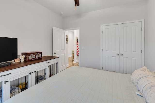 6683 Hanworth Trce, Smyrna, TN 37167 - photo 29