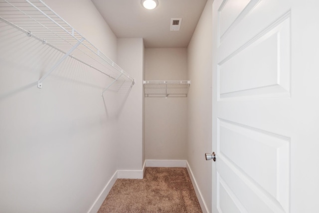 7026 Magnolia Crossings, Spring Hill, TN 37174 - spacious closet with carpet