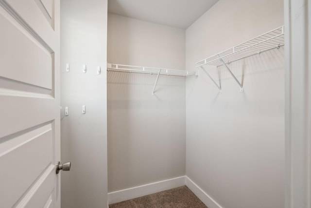 7026 Magnolia Crossings, Spring Hill, TN 37174 - spacious closet with carpet floors