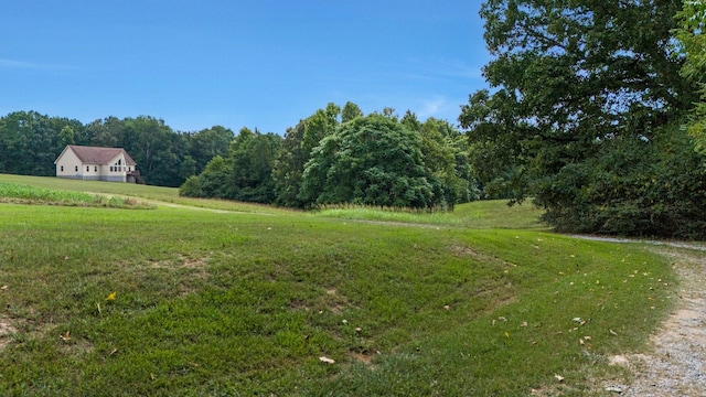4664 New Cut Rd, Greenbrier, TN 37073 - photo 43