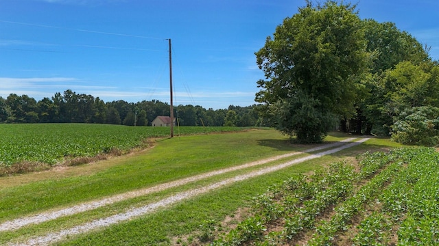 4664 New Cut Rd, Greenbrier, TN 37073 - photo 39