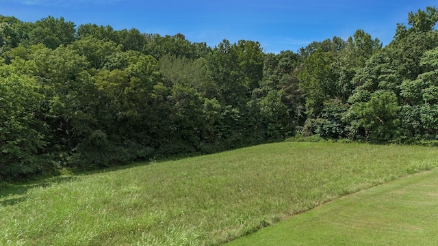 4664 New Cut Rd, Greenbrier, TN 37073 - photo 34