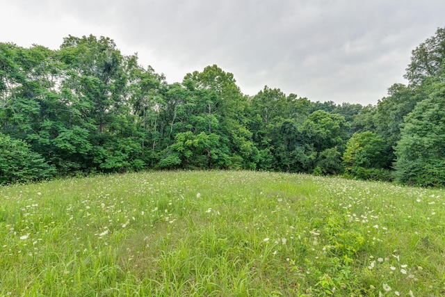 4664 New Cut Rd, Greenbrier, TN 37073 - photo 79