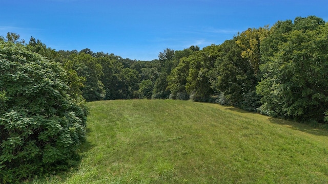 4664 New Cut Rd, Greenbrier, TN 37073 - photo 37