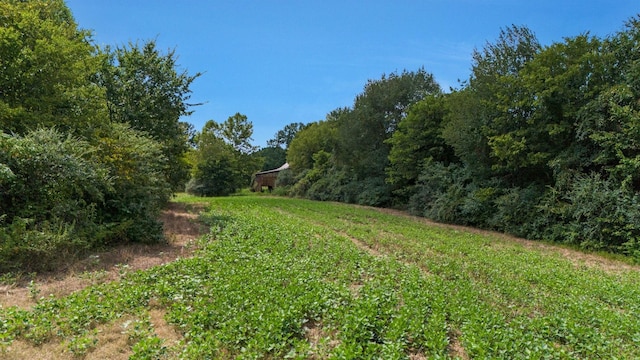 4664 New Cut Rd, Greenbrier, TN 37073 - photo 38