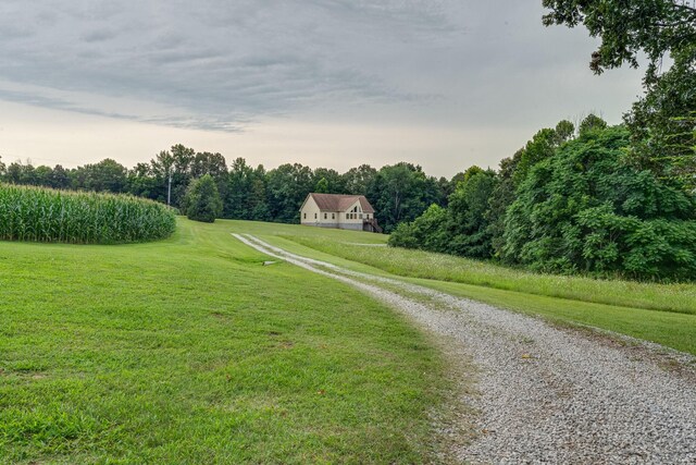 4664 New Cut Rd, Greenbrier, TN 37073 - photo 80