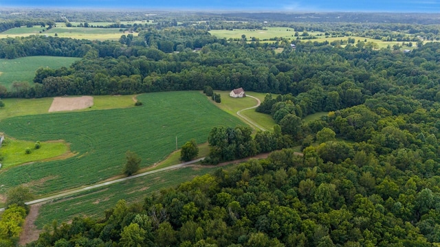 4664 New Cut Rd, Greenbrier, TN 37073 - photo 45