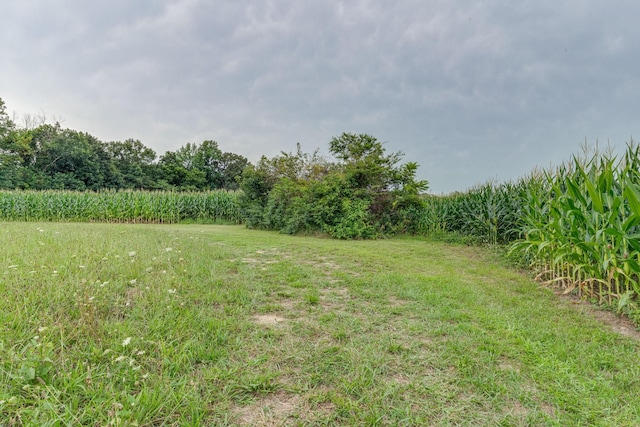 4664 New Cut Rd, Greenbrier, TN 37073 - photo 83