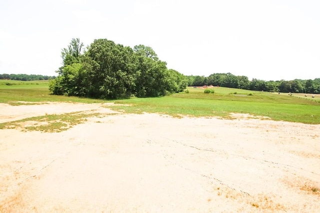 14181 Old Kentucky Rd, Walling, TN 38587 - photo 20