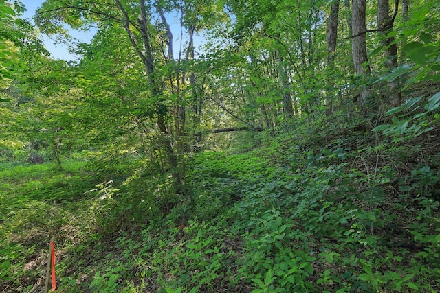 2326 Fairfield Rd, Westmoreland, TN 37186 - photo 14