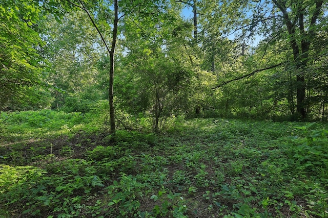 2326 Fairfield Rd, Westmoreland, TN 37186 - photo 16