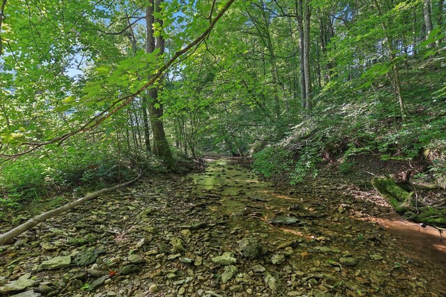 2326 Fairfield Rd, Westmoreland, TN 37186 - photo 10