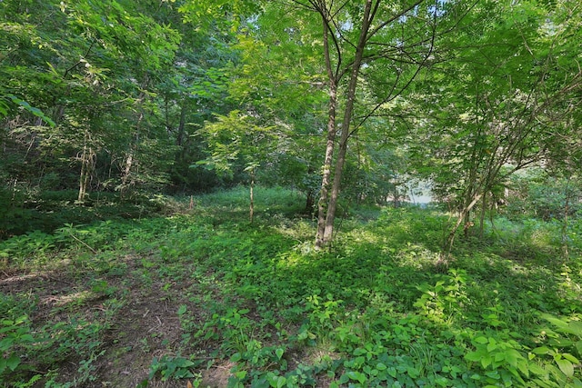 2326 Fairfield Rd, Westmoreland, TN 37186 - photo 15