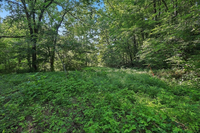 2326 Fairfield Rd, Westmoreland, TN 37186 - photo 17