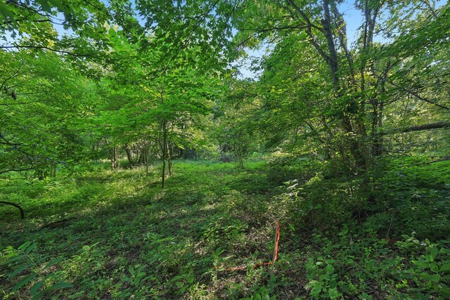 2326 Fairfield Rd, Westmoreland, TN 37186 - photo 13