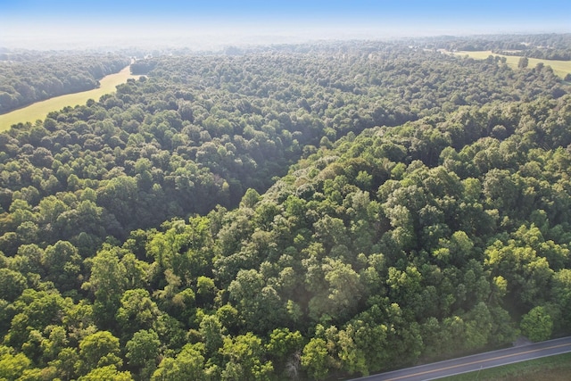 2326 Fairfield Rd, Westmoreland, TN 37186 - photo 3