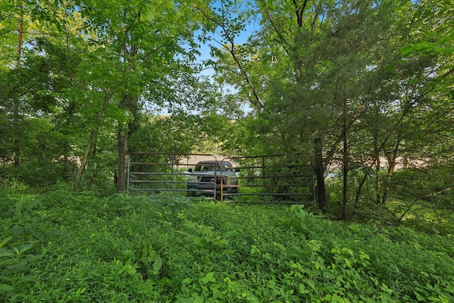 2326 Fairfield Rd, Westmoreland, TN 37186 - photo 12