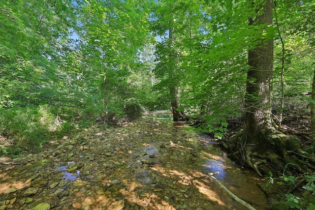 2326 Fairfield Rd, Westmoreland, TN 37186 - photo 9