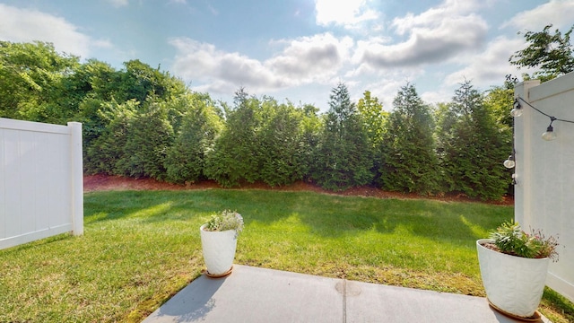 110 Brighton Ln, Lebanon, TN 37090 - photo 32