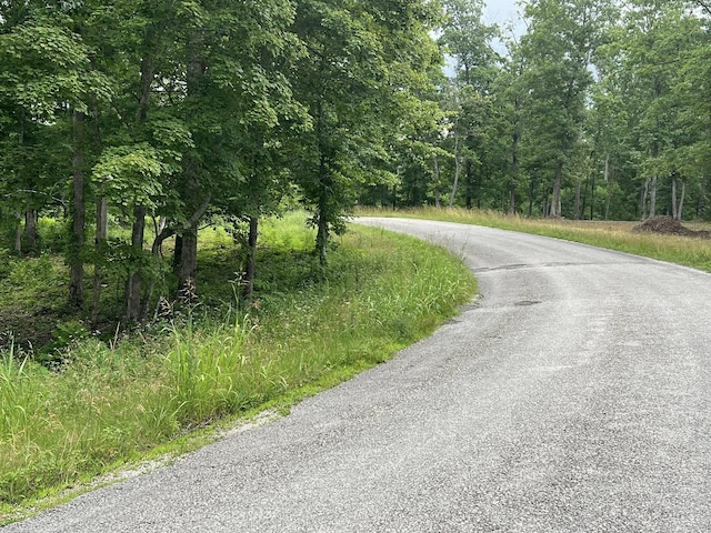 0 Slaughter Rd, Primm Springs, TN 38476