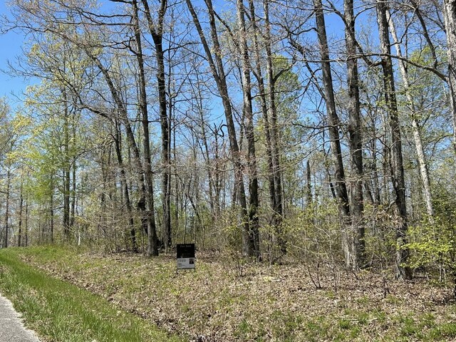 0 Slaughter Rd, Primm Springs, TN 38476